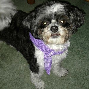 Meet your Posher, Linda